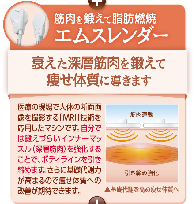 筋肉を鍛えて脂肪燃焼　エムスレンダー