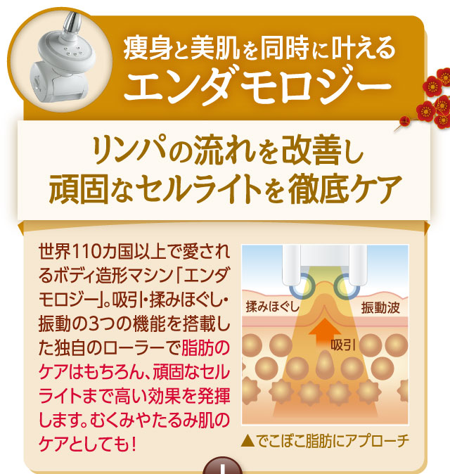 痩身と美肌を同時に叶える　エンダモロジー