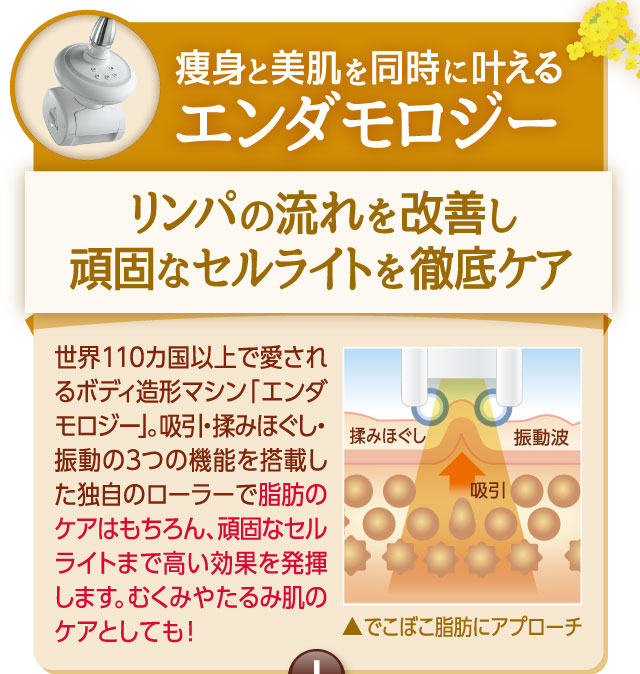 痩身と美肌を同時に叶える　エンダモロジー