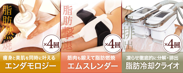 脂肪燃焼 痩身と美肌を同時に叶える エンダモロジー ×4回、脂肪撃退 筋肉も鍛えて脂肪燃焼 エムスレンダー ×4回、分解排出 凍らせ徹底的に分解・排出 脂肪冷却クライオ ×4回