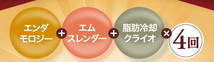 脂肪燃焼 痩身と美肌を同時に叶える エンダモロジー ×4回、脂肪撃退 筋肉も鍛えて脂肪燃焼 エムスレンダー ×4回、分解排出 凍らせ徹底的に分解・排出 脂肪冷却クライオ ×4回