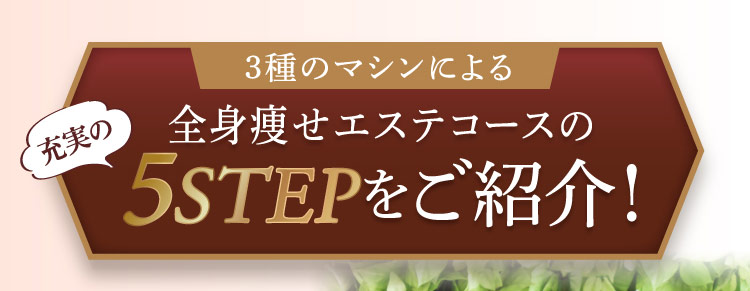 充実の 3種のマシンによる全身痩せエステコースの5STEPをご紹介！