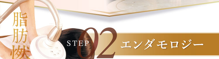 脂肪燃焼 STEP 02 エンダモロジー