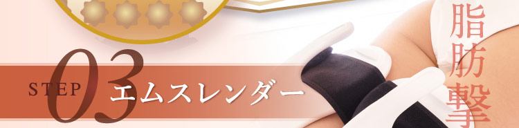 脂肪撃退 STEP 03 エムスレンダー