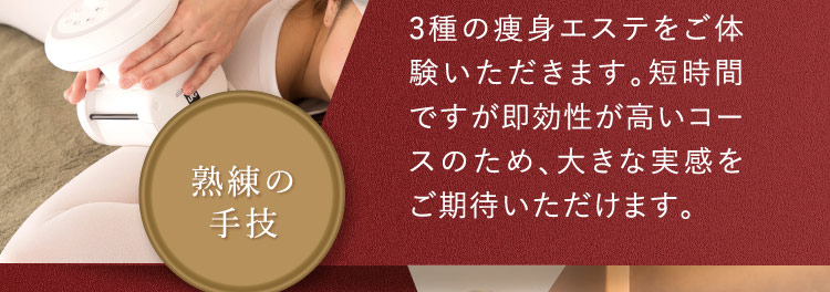 3種の痩身エステをご体験いただきます。短時間ですが即効性が高いコースのため、大きな実感をご期待いただけます。 熟練の手技