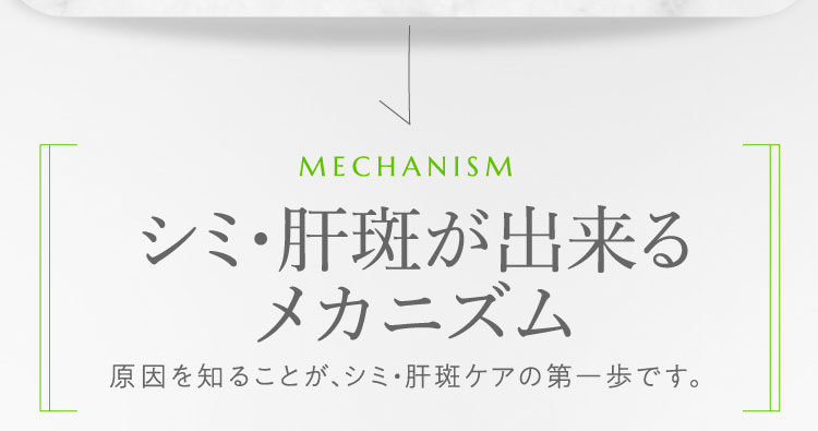 シミ・肝斑が出来るメカニズム原因を知ることが、シミ・肝斑ケアの第一歩です。