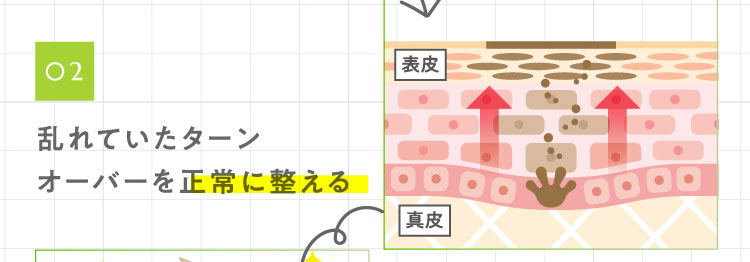 02乱れていたターンオーバーを正常に整える