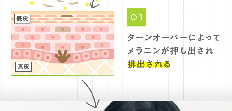 03ターンオーバーによってメラニンが押し出され排出される