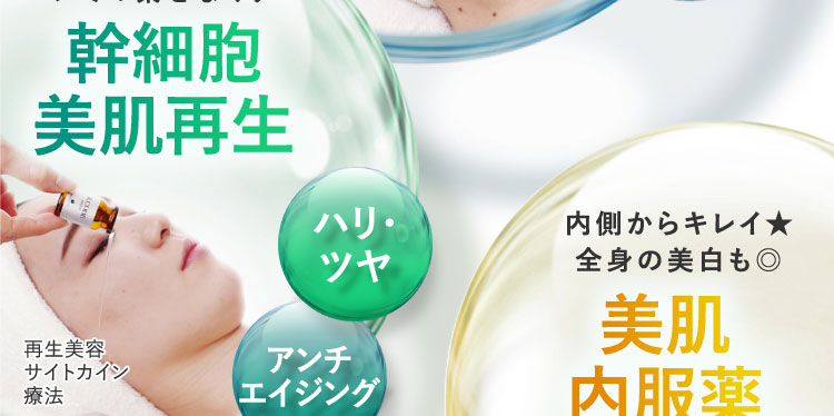 シミの素をなくす幹細胞美肌再生ハリ・ツヤ アンチエイジング