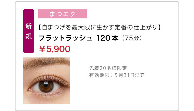 【自まつげを最大限に生かす定番の仕上がり】フラットラッシュ　120本