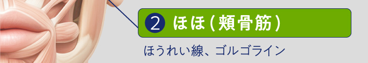 2ほほ(頬骨筋)ほうれい線、ゴルゴライン