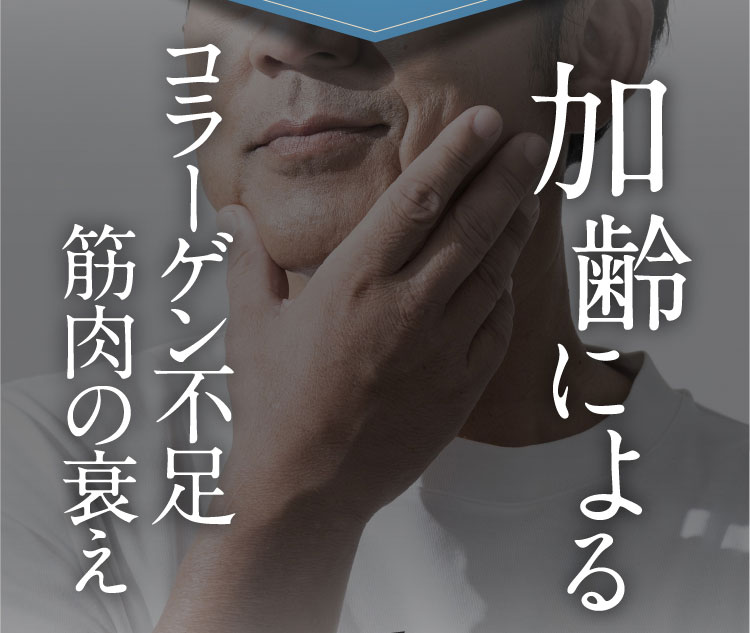 加齢による コラーゲン・エラスチン不足 筋肉の衰え