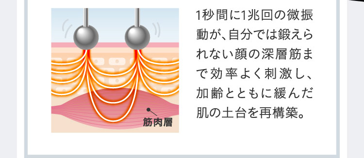 1秒間に1兆回の微振動が、自分では鍛えられない顔の深層筋まで効率よく刺激し、加齢とともに緩んだ肌の土台を再構築。